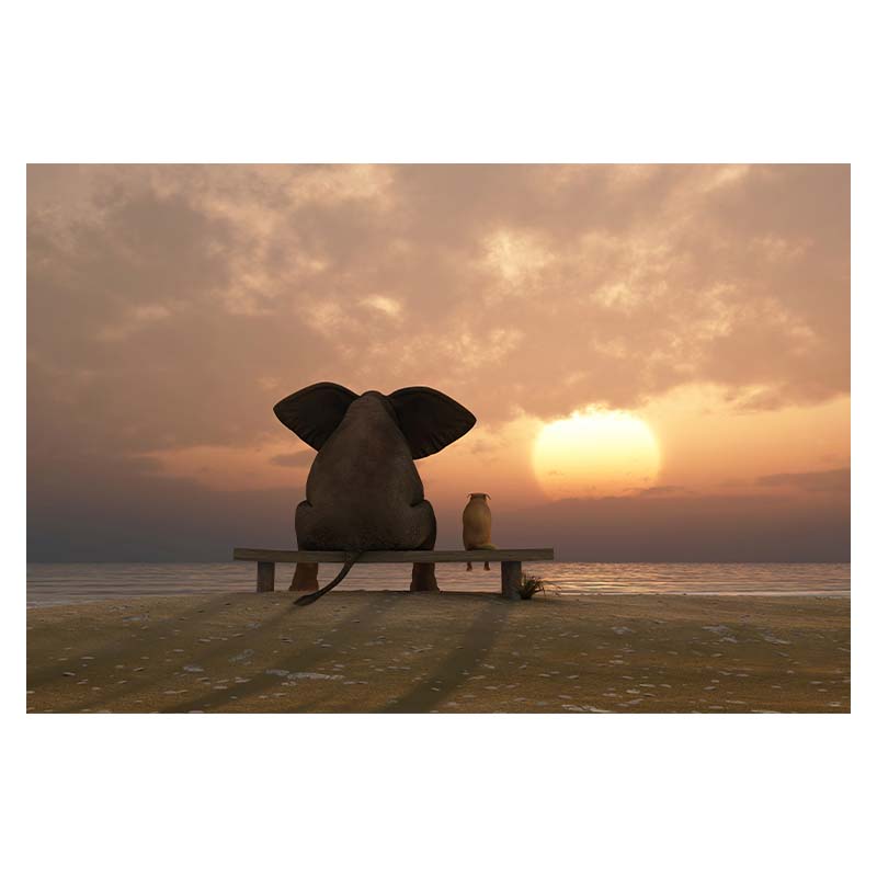 Kreatywny słoń morze zachód słońca Modern Art Home Decoration obraz na płótnie Wall Art obraz dekoracja ścienna w tle