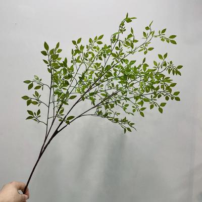 Yaratıcı Yapay Bitki Kolay Bakım Dayanıklı Fotoğraf Sahne