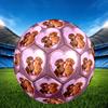 1pc Dachshunds Love Heart Theme Soccer Ball Football, Size 5, Lightweight PVC, Outdoor Training Soccer Ball,Gift J61424