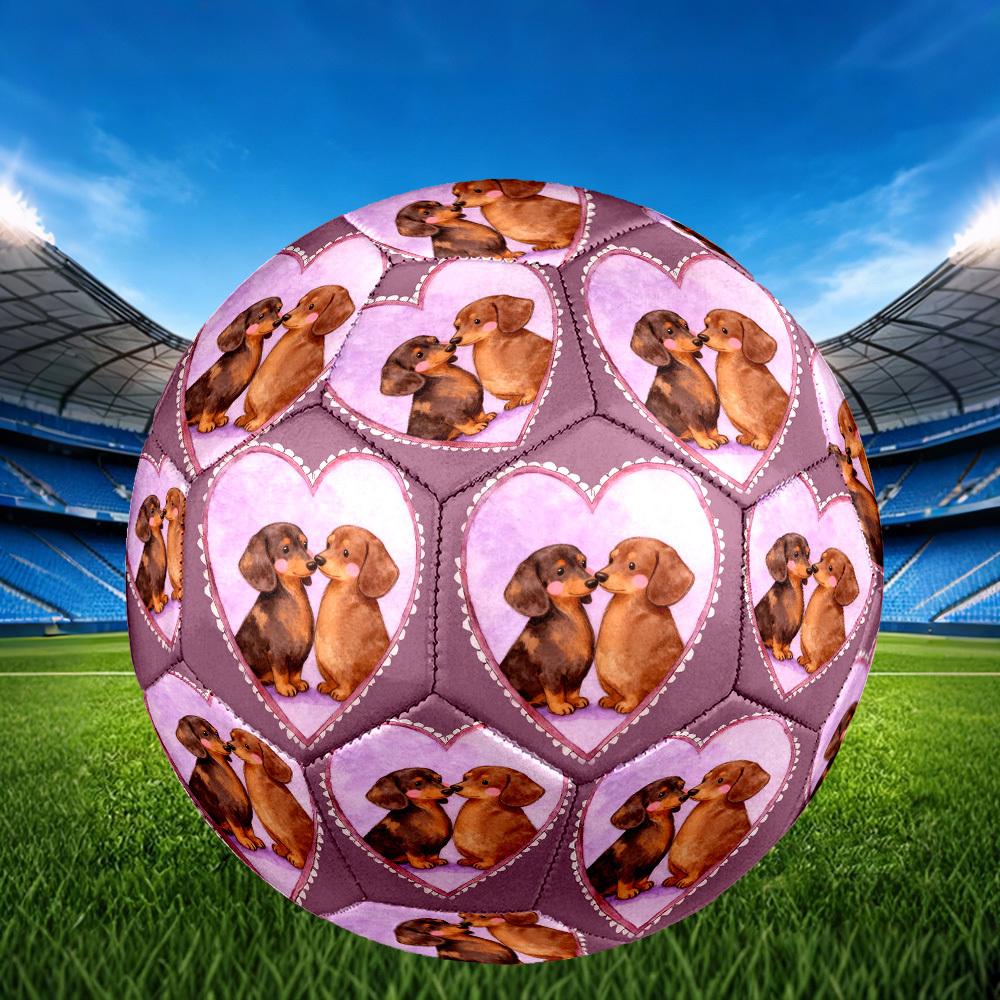 1pc Dachshunds Love Heart Theme Soccer Ball Football, Size 5, Lightweight PVC, Outdoor Training Soccer Ball,Gift J61424