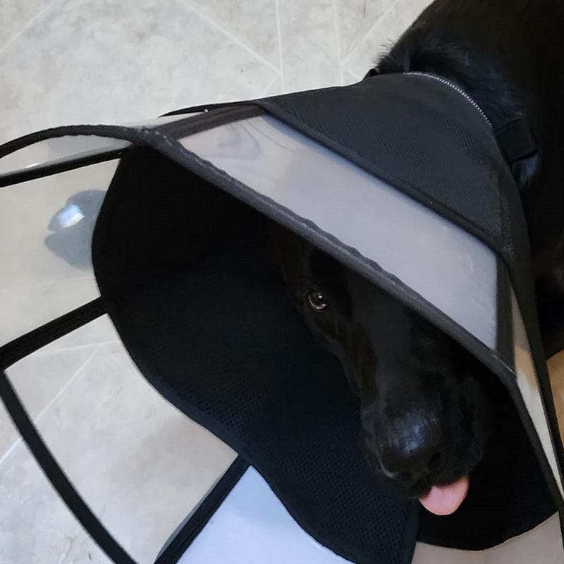 Hunde-Erholungskragen Verstellbarer Hunde-Erholungs-Weichkragen Wundpflege Sichtbarer Verband Anti-Leck-Schutz Atmungsaktives Haustierhalsband Anti-Biss Für