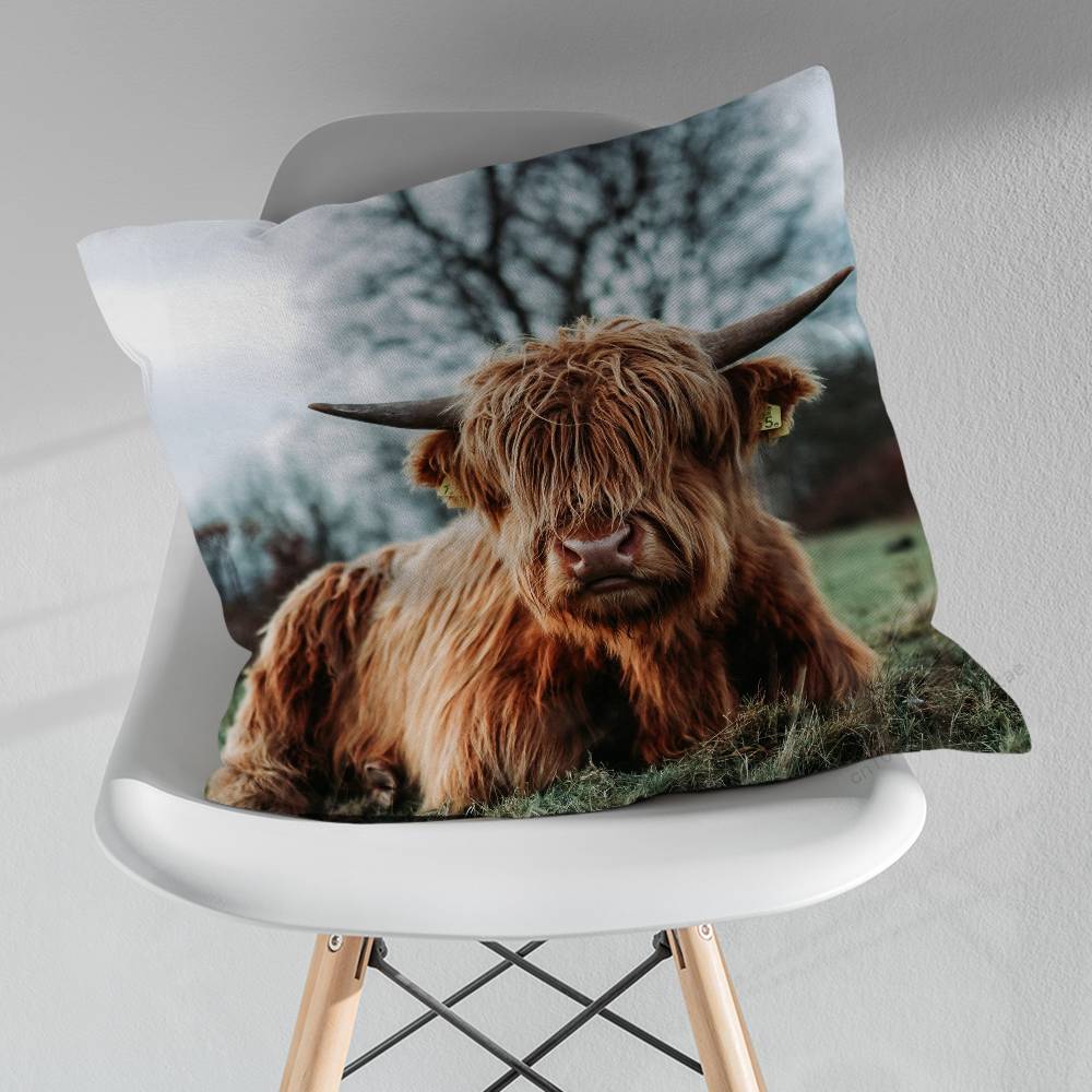 Cute Small Highland Cow Various Sizes Square Pillow Case For Car Home Bedchamber Decor Birthday Gift