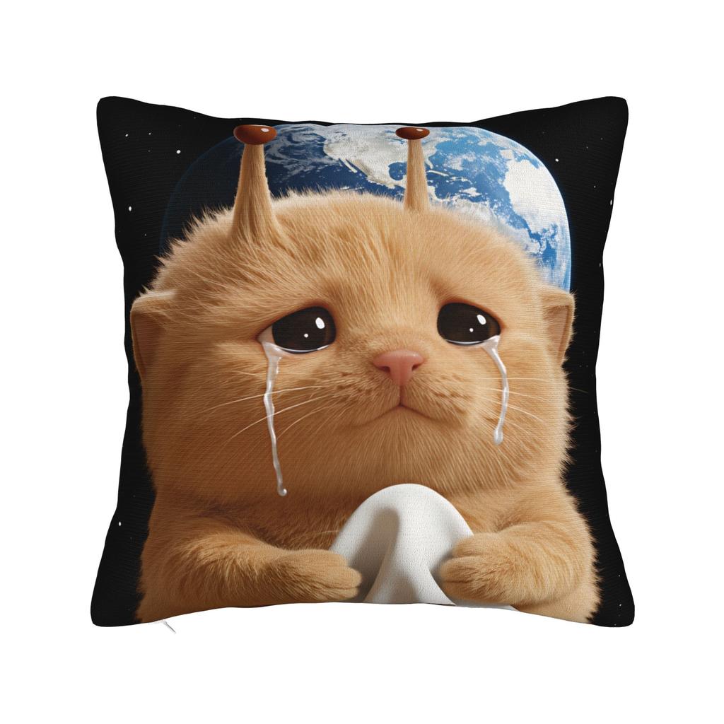 Pillow Case Space Banana Aliens Cat Square Pillow Cover For Couch Sofa Bedroom Novelty Pillowcases
