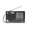Tecsun R-2010D DSP Full Band Rechargeable Stereo Radio for Seniors