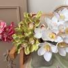 Echte Berührung Künstliche Cymbidienblüten Magnolie Lange Zweige Simulierter Orchideenstrauß Dekorative Seiden-Fälschungblume