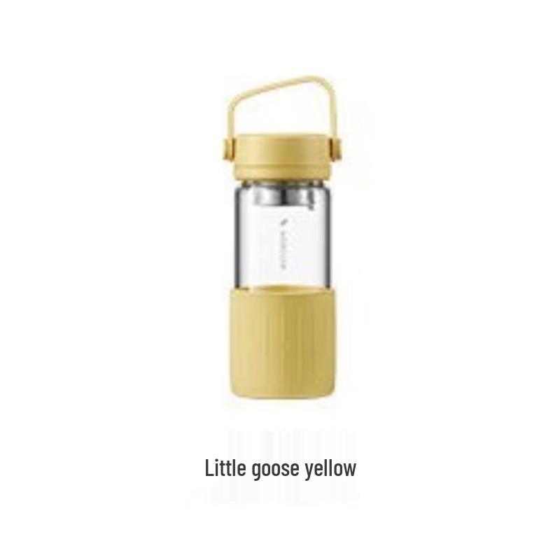 Buydeem Portable Tea Infuser Glass Mug