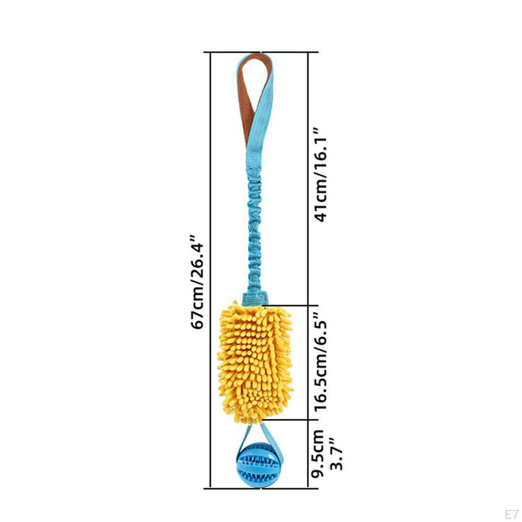 Dog Toy for Interactive Play and Training