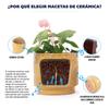 Mini Small Ceramic Plant Pot Ø19 cm, Glossy Warm Yellow Heart-Ornament Relief, Breathable Drainage Hole for Mini Succulents and Desktop Herbs