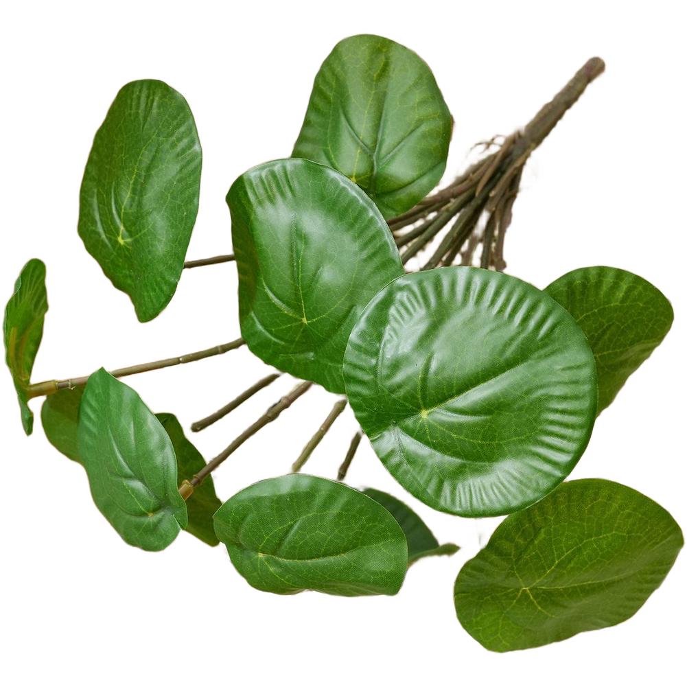 24 см Общая высота 6 больших 6 маленьких листьев Не требует полива