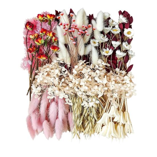DIY Natural Dried Flower Set Eucalyptus Lavender Wheat Bunny Tails Billy Ball Flower Bouquet with Stems for DIY Crafts Home Wedding Vase Decor