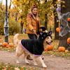 Breathable Witch Hat Dog Hoodie Soft Fabric Dog Hoodie Sweatshirt Pet Cosplay Costume  Daily Wear