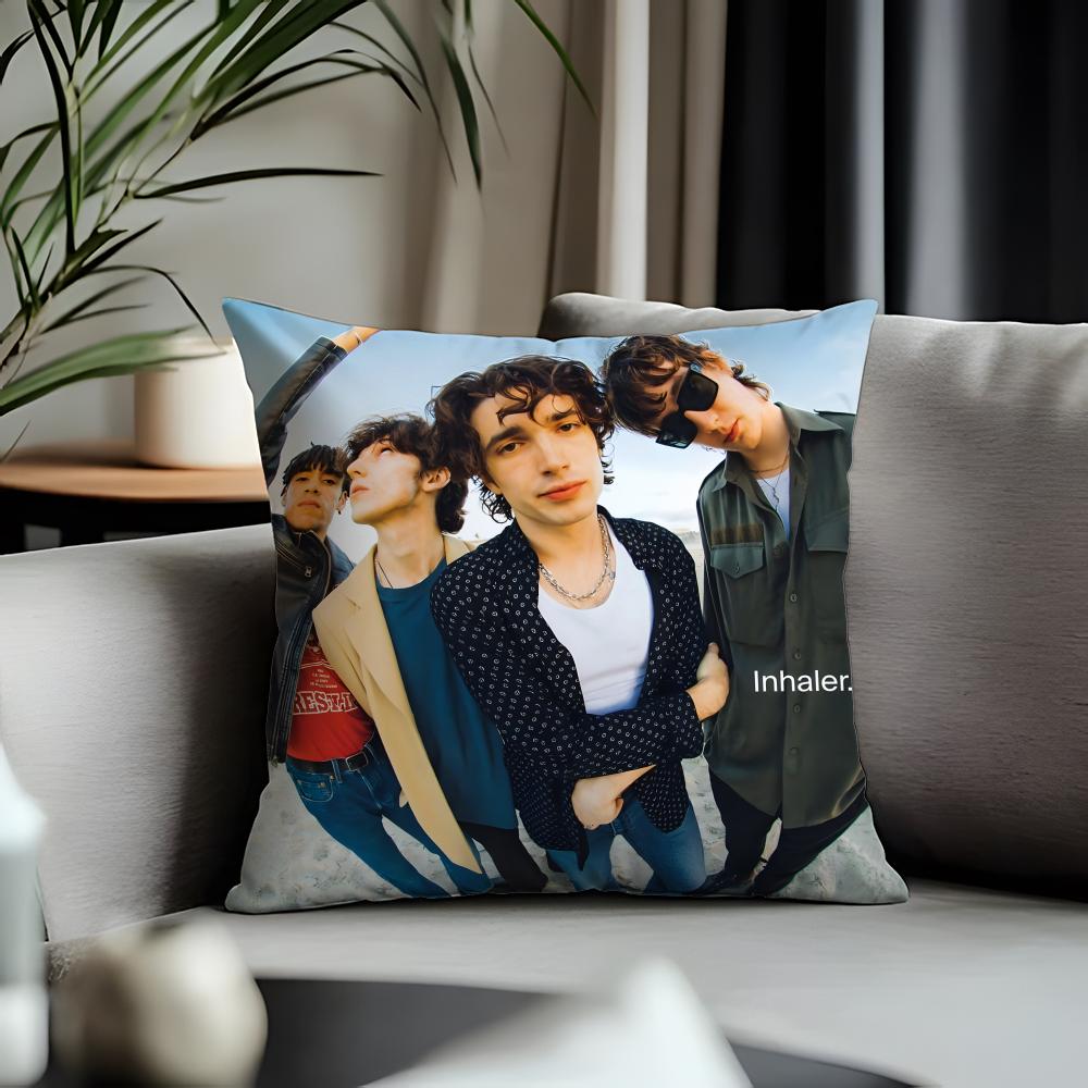 Trending Iinhaleread Cushion Cover Antidustmite Pillowcase Invisible Zipper Silky Short Plush Sofa Cushion Cover