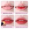 Professional Portable Lip Makeup Brush – Lipstick, Lip Gloss, Lip Liner, and Concealer Tool.
