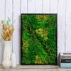 20g/200g Mousse Verte Naturelle Simulation Plantes Mousse Vie Éternelle Jardin Décoration Maison Murale Mini Jardin Micro Paysage Acce