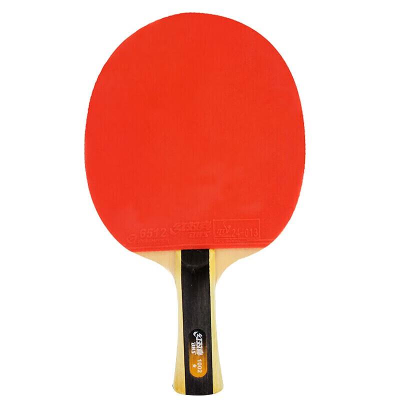 DHS H1002 1-Star Table Tennis Bat Set for Beginners