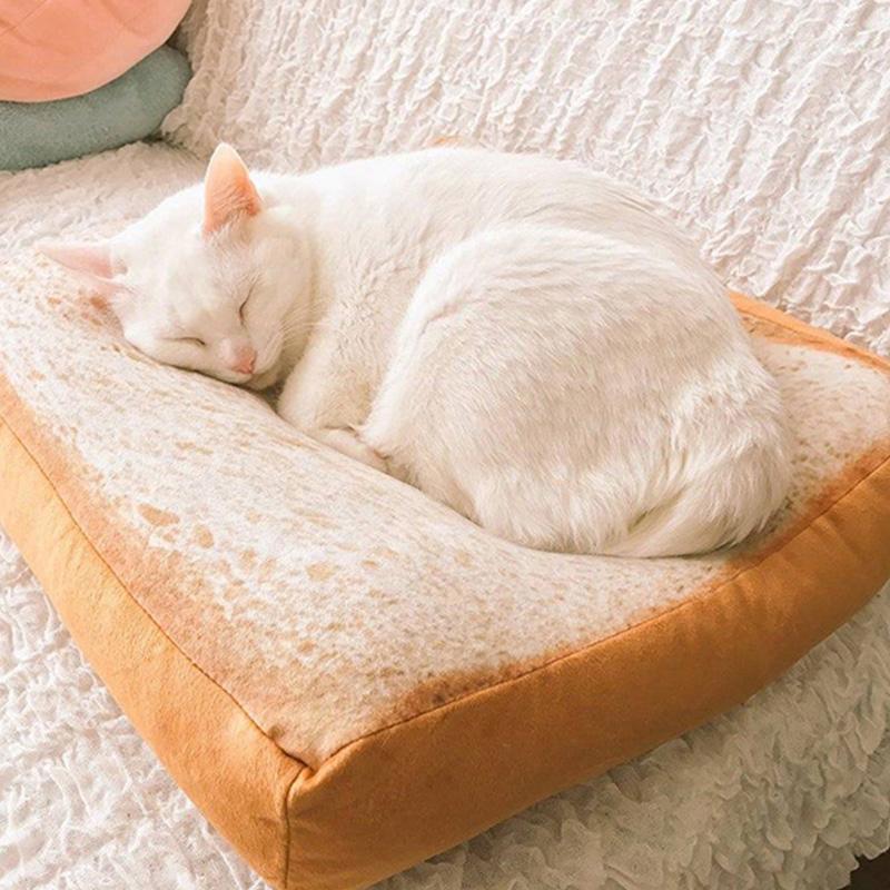 cat mattress bed