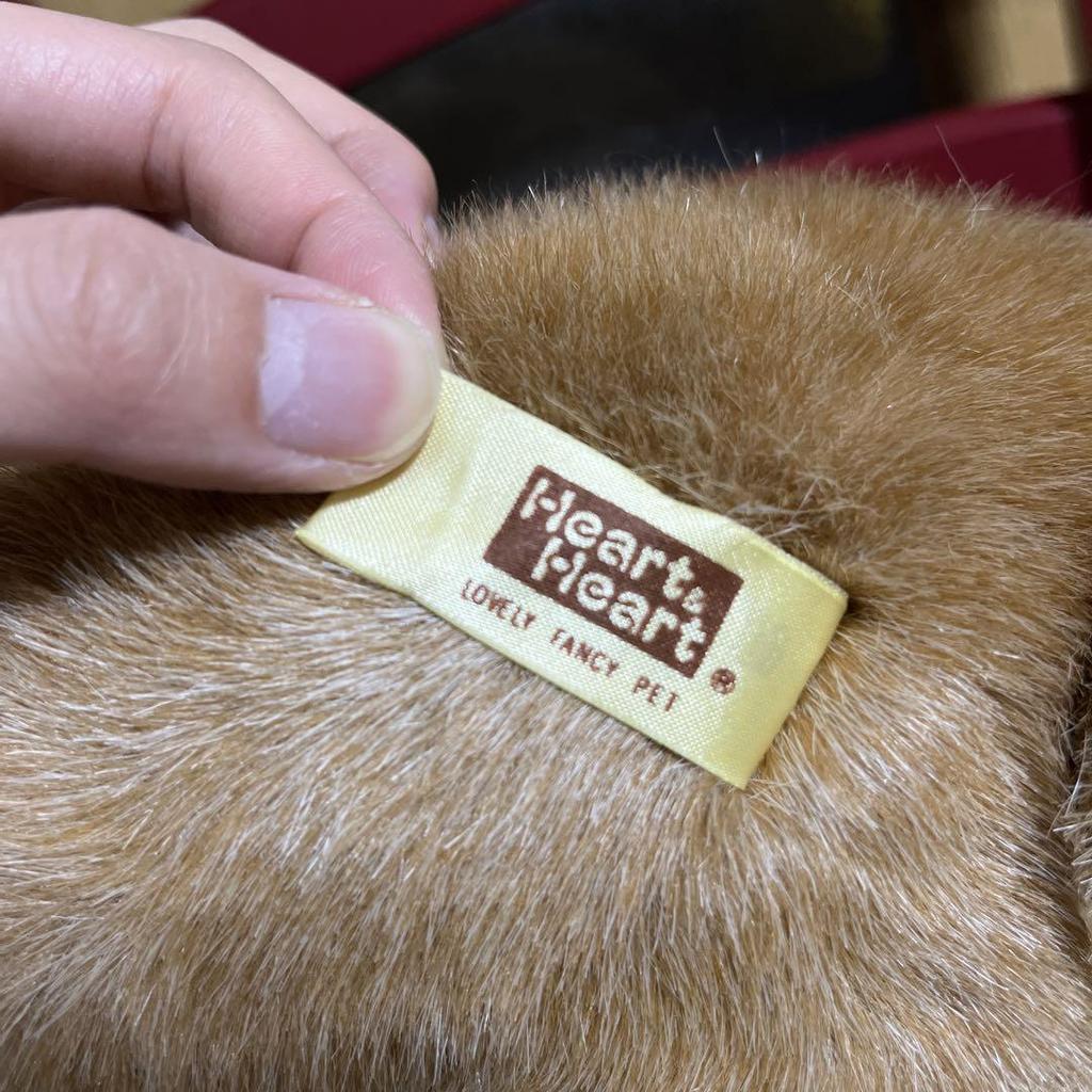 [USED] Nakajima Paku Paku Talk Plush Toy Teddy Bear Voice Message