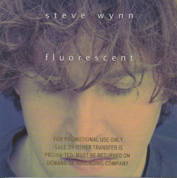 

CD STEVE WYNN - Fluorescent 616522 Mute 1994 US Rock Used