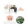 Sailor Fountain Pen Fountain Pen Bottle Ink SHIKIORI -Shikiori- Playing in the Grass Flower Crown Dye 20ml 13-1008-233