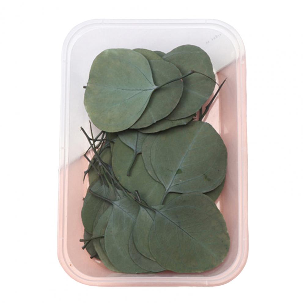 

Natural Dried Flower Assortment Home Decoration Natural Dried Pressed Flowers For Handmade Crafts DIY Candles Epoxy Resin Flower