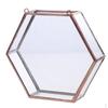 Glazen Geometrische Terrarium Doos Succulenten Plant Pot Muur Decor koper