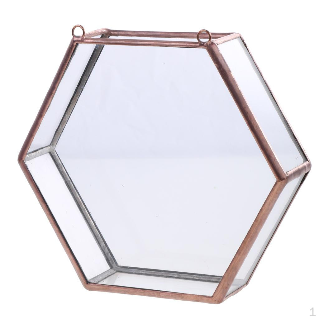 Glass Geometric Terrarium Box Succulent Plant Planter Wall Decor copper