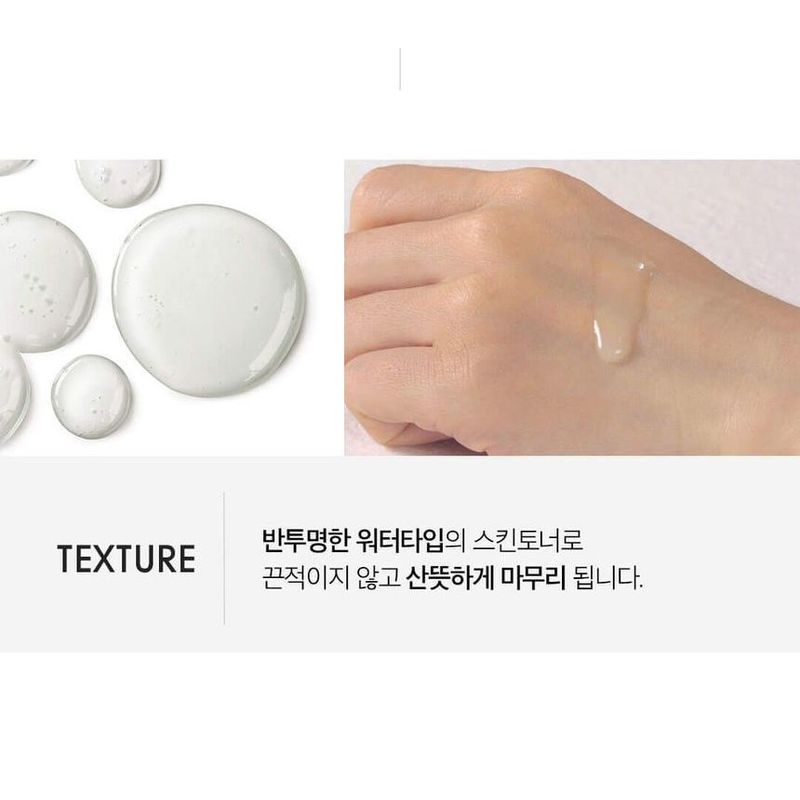 SWANICOCO - Fermentation Snail Skintoner