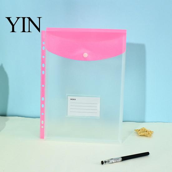 11 Hole Binder Pockets for A4 Binders, Plastic Expanding File Folders with Snap Closure & Transparent Label Slot, Durable Document Organizer Project