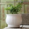Elegant White Ceramic Flower Pot with Tray - Ideal for Ivy, Spider Plants, and Succulents