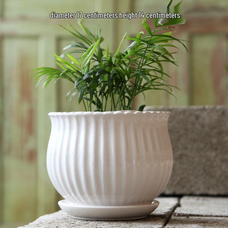 Elegant White Ceramic Flower Pot with Tray - Ideal for Ivy, Spider Plants, and Succulents