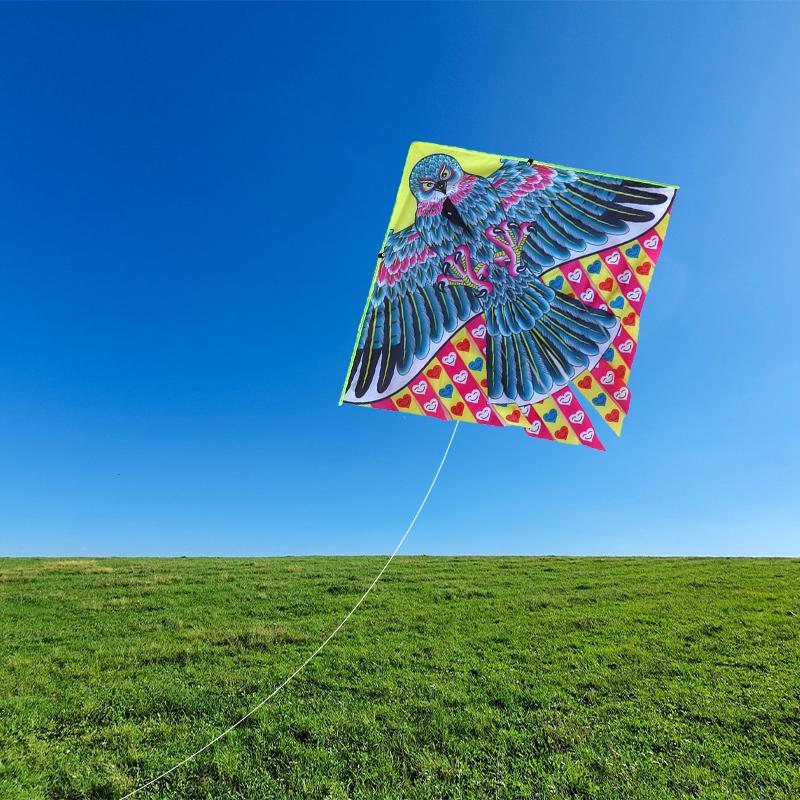 Childrens 1 Kite Meter Multitail Cartoon Print Breeze Easy To Fly Flying Toy