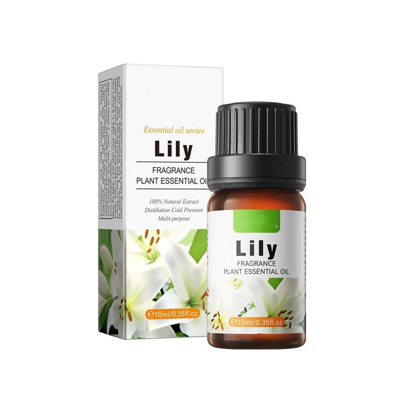 Plant Essential Oil Set 10ml Each Natural Fragrance Therapy Aromatherapy Body Oil Spa Massage Gift Set Export Wholesale