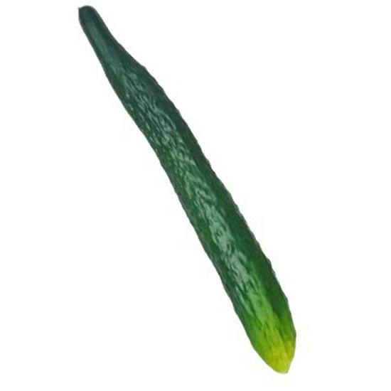 Simulation Cucumber and Eggplant Model for Photography Props and Window Display