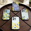 Mediterranean Lemon Fruit Art Phone Case For iPhone 17,16,15,14,13,12,11 Plus,Pro Max,XS,Soft Silicone Black Cover