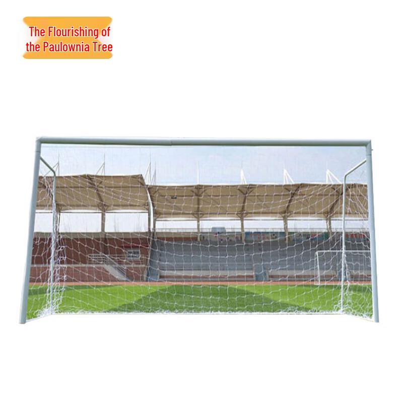 Zizhisheng Standard Soccer Goal