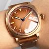 Tandorio 42mm Sapphire Glass CUSN8 Bronze Vintage Automatic Mechanical Men's Watch For Miyota 8215/Asia 2824 20Bar Diver Watch