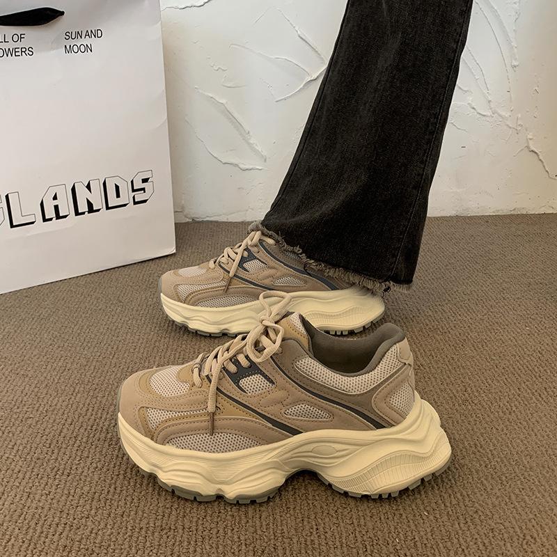 Retro Thick-soled Gray Dad Shoes Women's 2025 Spring and Autumn New Mesh Breathable Small Casual Sports Shoes