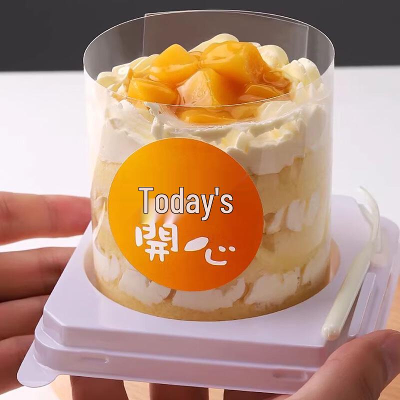 Mini Square Cake Packaging Boxes