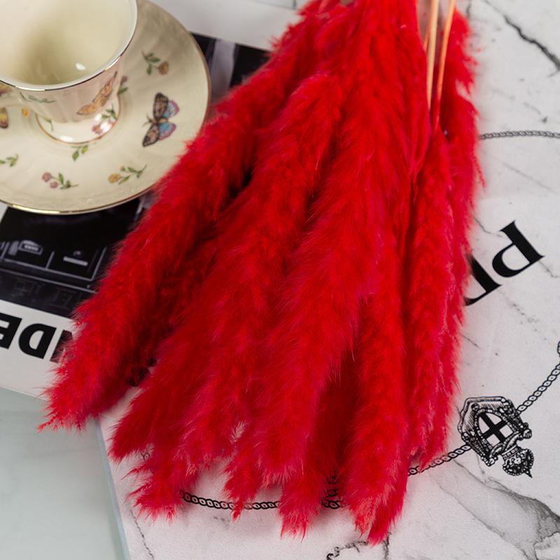 Small Reed Pampas Grass Dried Flower Special Offer Small Reed Dried Flower Bouquet Decoration Wedding Arrangement