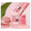 HOLD LIVE - 7 Color Multi Powder Palette - 4 Type