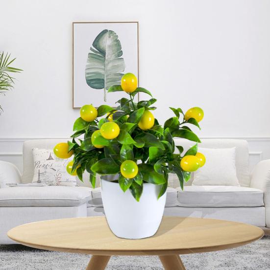 Simulare unică Plante în ghiveci Îngrijire ușoară Aplicație largă practică