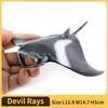 Manta Ray Skates Figurine - Realistic Sea Creature Figure - Instructive Toy Designed for Boys Girls Plus Children Ages 3
