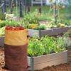 Orchard Picking Bag   Leather Waist Hanging Fruit   Bag Portable Abrasion Resistant Outdoor Gathering Bag