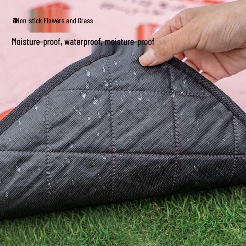 Series Clear Ultrasonic Bear Outdoor Picnic Mat