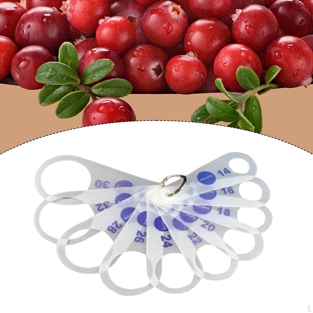 Fruit Diameter Caliper Ruler, Pocket Cherry Caliper, Accurate for Grading Selected Fruits,