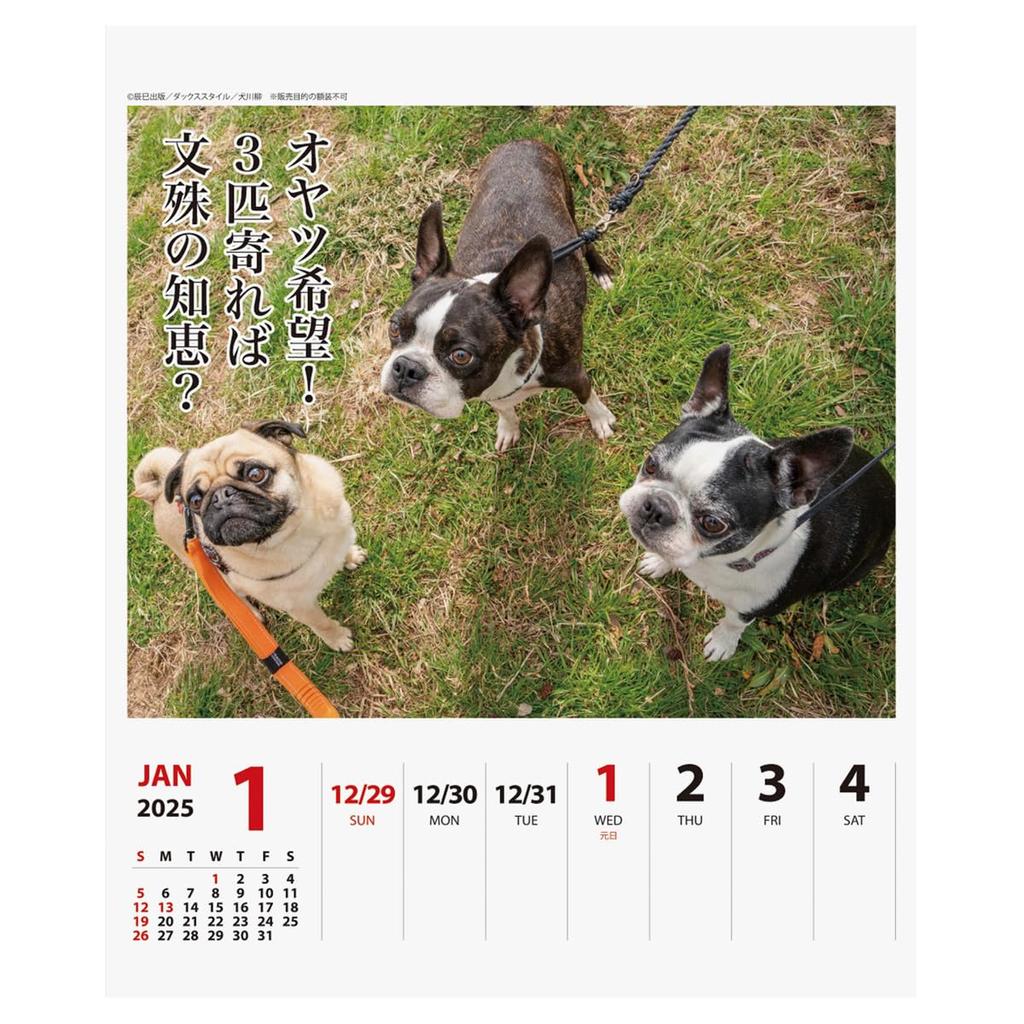 2025 Petcha Senryu (Weekly) Calendar No.026