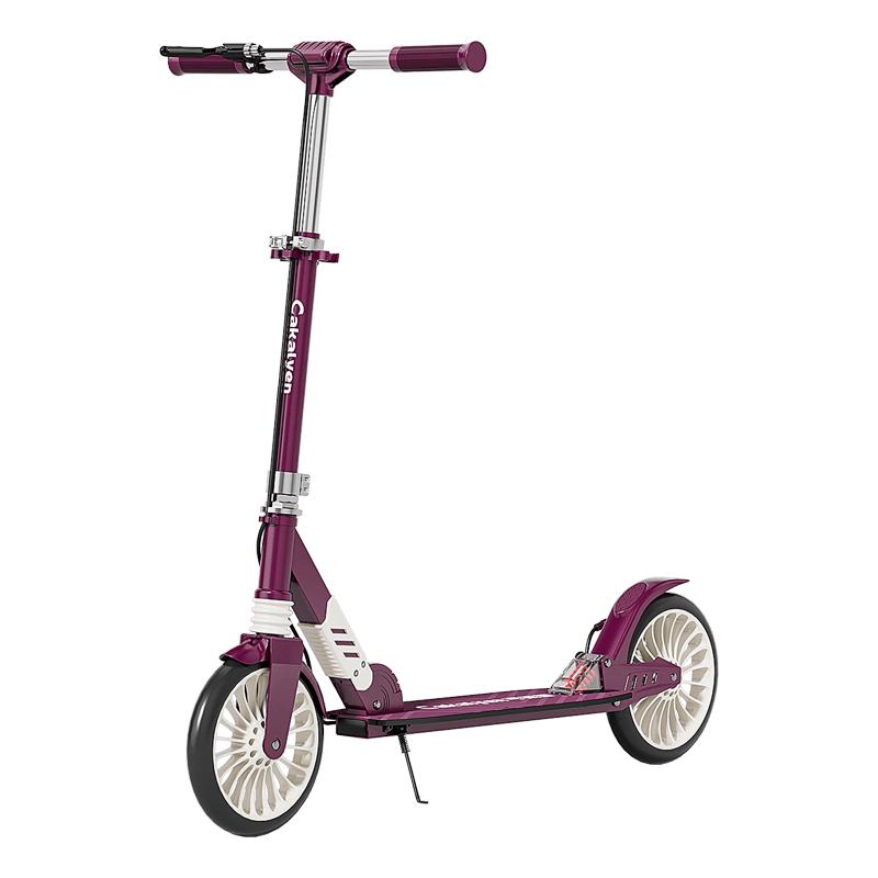 Cakalyen Foldable Two-Wheel Kick Scooter