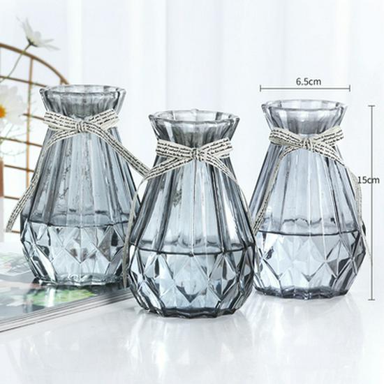 Nordic Transparent Glass Vase for Hydroponic Plants and Home Decoration