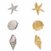 Gouden Kleur Zeester Haarclip Vakantiestijl Eendenbek Haarclip Vakantie Schelp Haarclip Feest