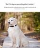 Pet GPS Locator & Anti-Lost Tracking Collar for Dogs and Cats
